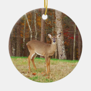 Een droomspeler van de Hunter Keramisch Ornament