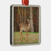 Een droomspeler van de Hunter Metalen Ornament (Rechts)