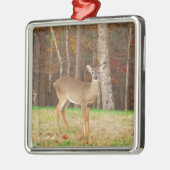 Een droomspeler van de Hunter Metalen Ornament (Links)