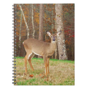 Een droomspeler van de Hunter Notitieboek