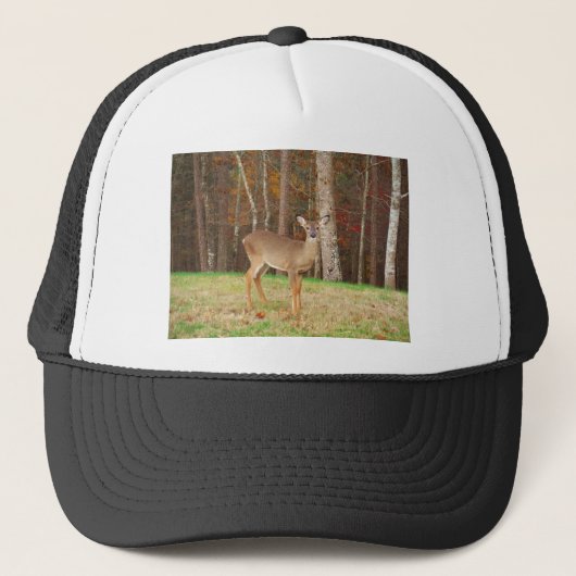 Een droomspeler van de Hunter Trucker Pet (Voorkant)