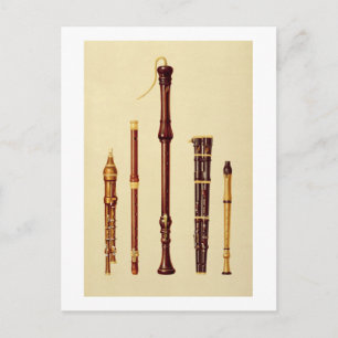 Een dubbele flageolet, een Duitse flute, een baskr Briefkaart