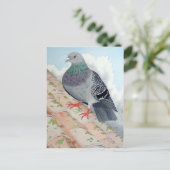 Een duif rust op een dak briefkaart (Staand voorkant)