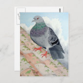 Een duif rust op een dak briefkaart (Voorkant / Achterkant)