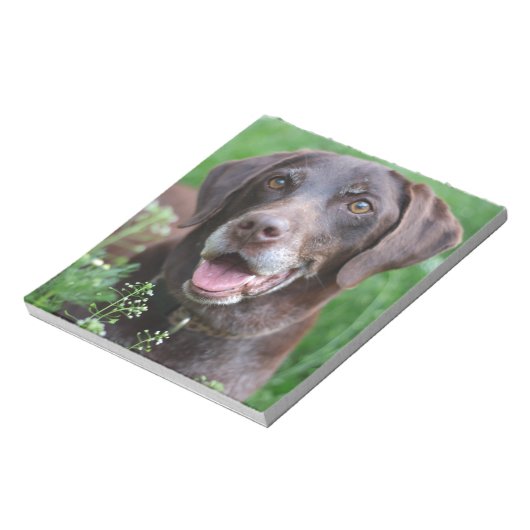 Een Duitse Shorthaired Pointer-hond in het gras Notitieblok (Gedraaid)