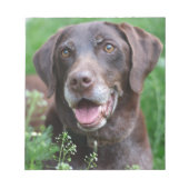 Een Duitse Shorthaired Pointer-hond in het gras Notitieblok (Voorkant)