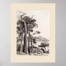 Een dwaasheid Cornwall-afdruk, Eleanor M Hughes he