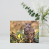 Een Eagle Owl Briefkaart (Staand voorkant)