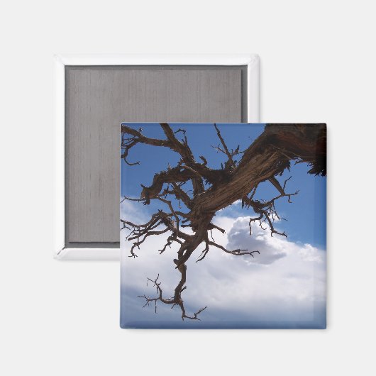 Een echte Cliffhanger Magnet Magneet (Voorkant / Achterkant)