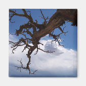 Een echte Cliffhanger Magnet Magneet (Voorkant)