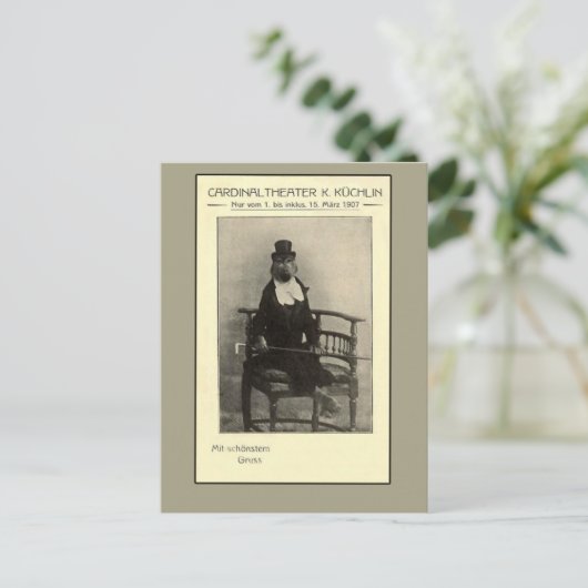 Een echte Oddity - een aap in een set Briefkaart (Staand voorkant)