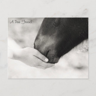 Een echte vriend briefkaart