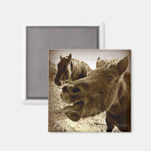 Een echte vriend magneet (Voorkant / Achterkant)