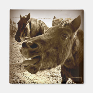 Een echte vriend magneet