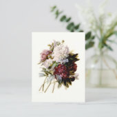 Een eenhoevige pony van Pierre-Joseph Redouté Briefkaart (Staand voorkant)