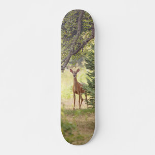Een eenzaam hert skateboard