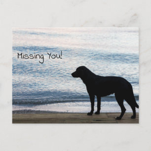 Een eenzame hond met een "Missing You"-bericht Briefkaart