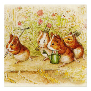 Een eigen proeftuin van Beatrix Potter Foto Afdruk