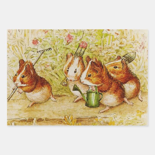 Een eigen proeftuin van Beatrix Potter Inpakpapier Vel (Voorkant 3)