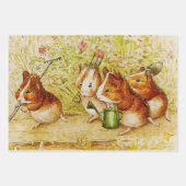 Een eigen proeftuin van Beatrix Potter Inpakpapier Vel (Voorkant)