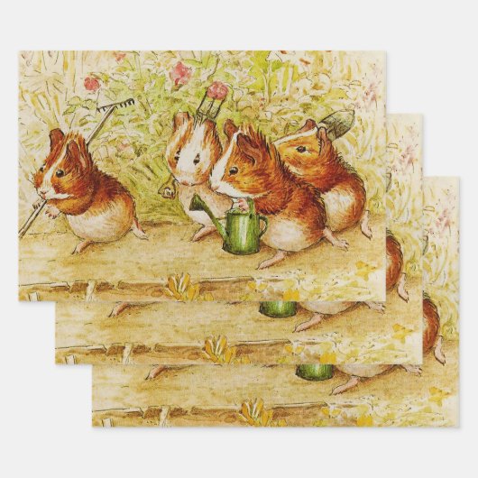 Een eigen proeftuin van Beatrix Potter Inpakpapier Vel (Set)