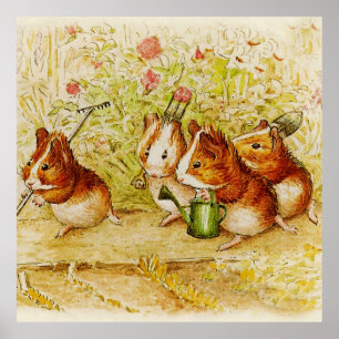 Een eigen proeftuin van Beatrix Potter Poster