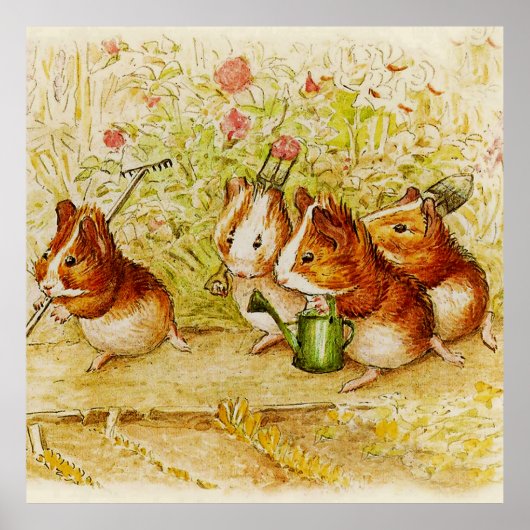 Een eigen proeftuin van Beatrix Potter Poster (Voorkant)