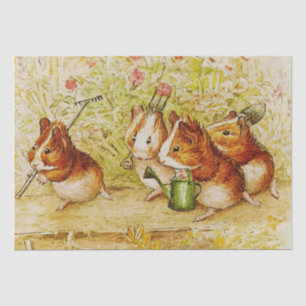 Een eigen proeftuin van Beatrix Potter Tissuepapier