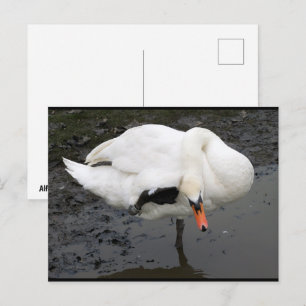 Een Elegante Groet Briefkaart