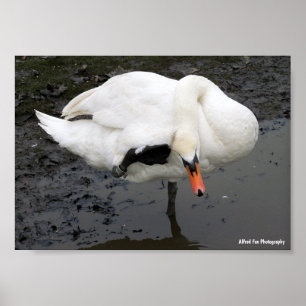 Een Elegante Groet Poster