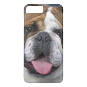 Een Engelse buldog in België. iPhone 8 Plus / 7 Plus Hoesje