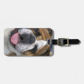 Een engelse bulldog in België. Bagagelabel (Voorkant horizontaal)