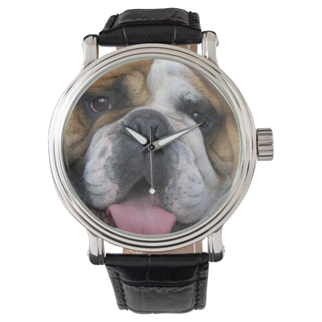 Een engelse bulldog in België. Horloge (Voorkant)