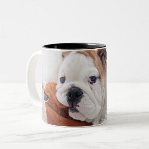 Een Engelse bulledog-puppy met een bulledog Tweekleurige Koffiemok