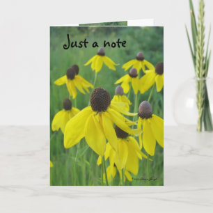 Een enkel Kaart van de Nota/een Gele Coneflowers