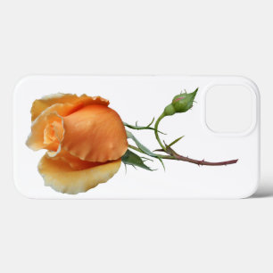 Een enkele roos stek     iPhone 13 hoesje
