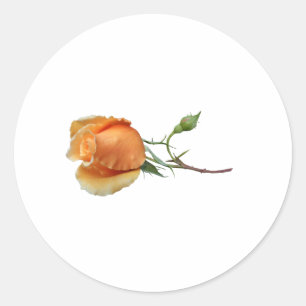 Een enkele roos stek ronde sticker