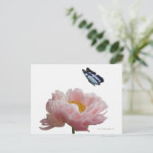 een etheral bezoekt een grote roze pony briefkaart (Staand voorkant)