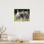 Een ezel poster (Keuken)