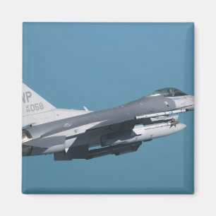 Een F-16-gevecht tegen valk tijdens de vlucht Magneet