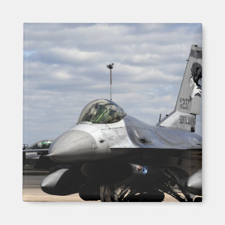 Een F-16-strijder tegen valk Magneet