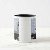 Een F-16-strijder tegen valk Mok (Midden)