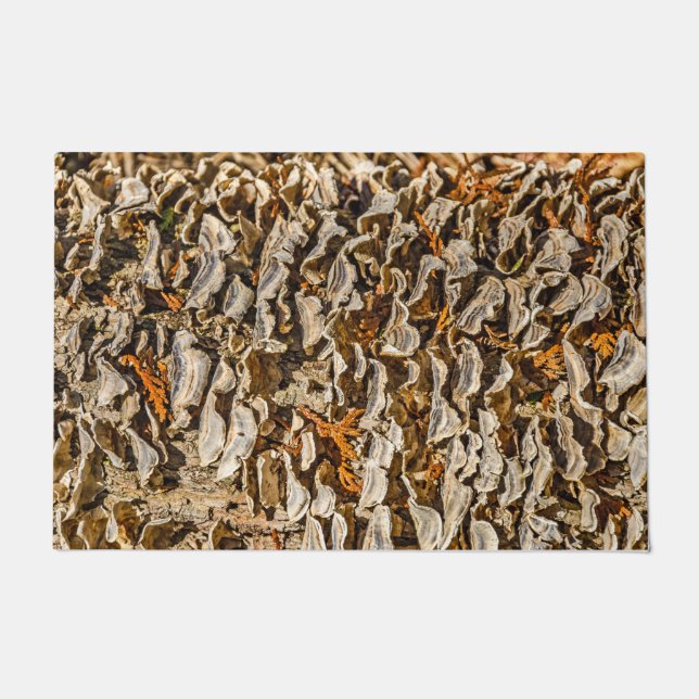 Een fascatie met Fungi Deurmat (Voorkant)