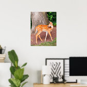 Een fawn poster (Thuiskantoor)