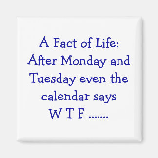 Een feit van het leven - Magneet