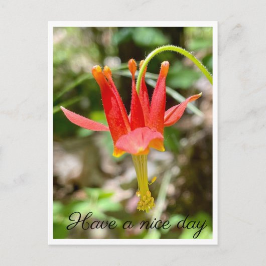 Een fijne dag briefkaart (Voorkant)