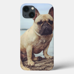 Een Franse hond iPhone 13 Hoesje