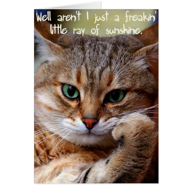 Een Freakin-Ray van Sunshine (Voorkant)