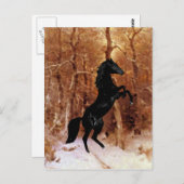 Een friesisch in wintersneeuw briefkaart (Voorkant / Achterkant)