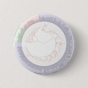 Een fylogenetische boom van het leven ronde button 5,7 cm